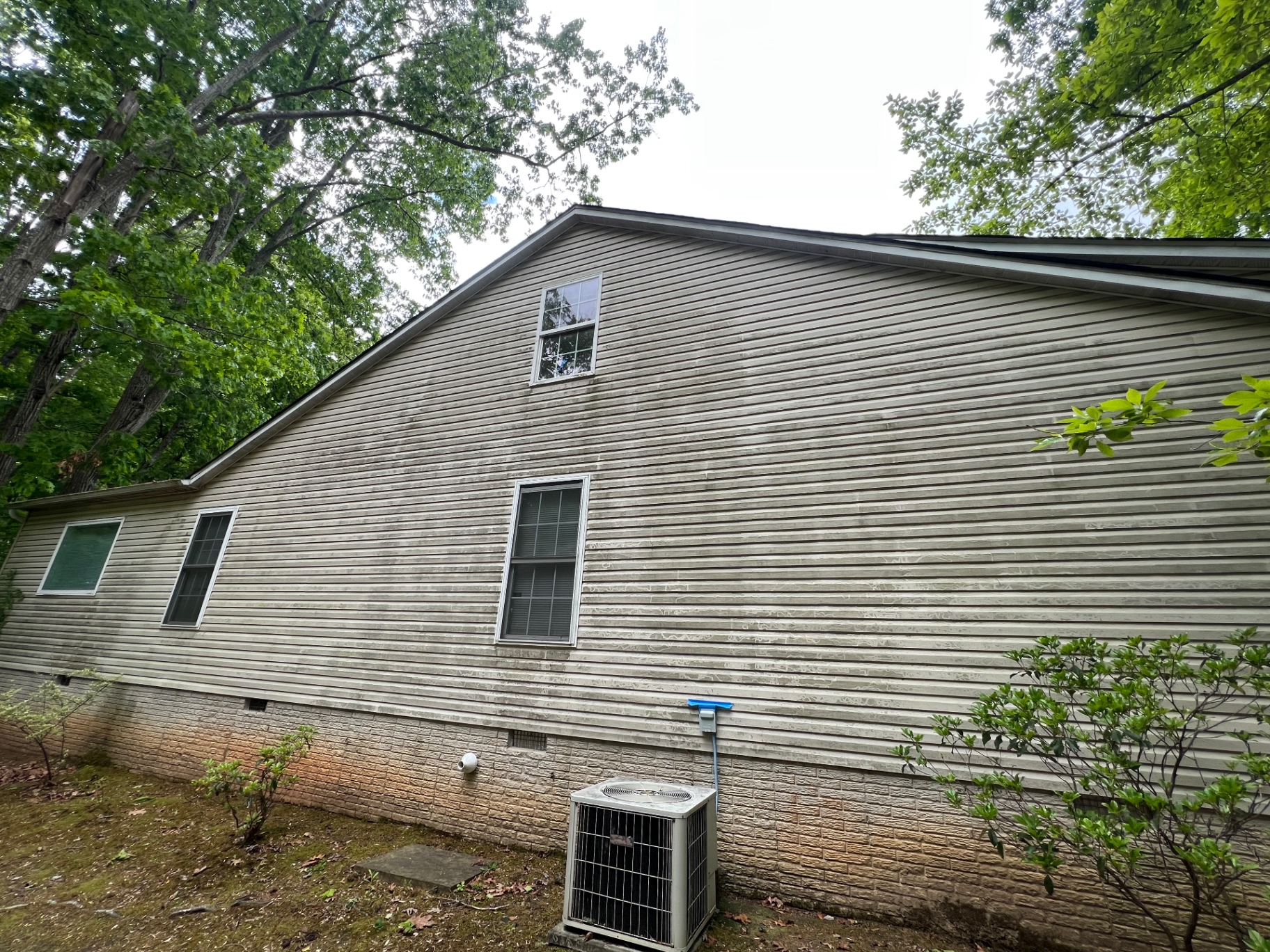 Tan vinyl siding covered in green algae and mildew before soft washing